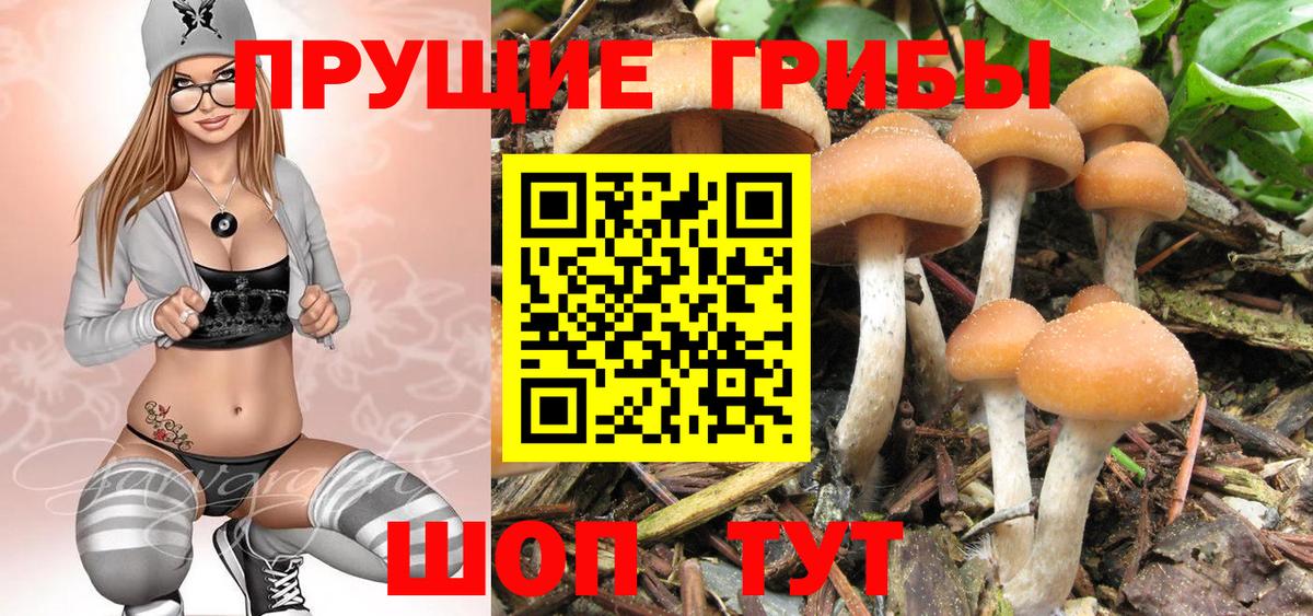 Галлюциногенные грибы Magic Shrooms  Галлюциногенные грибы Magic Shrooms  Вход с VPN  Протвино 